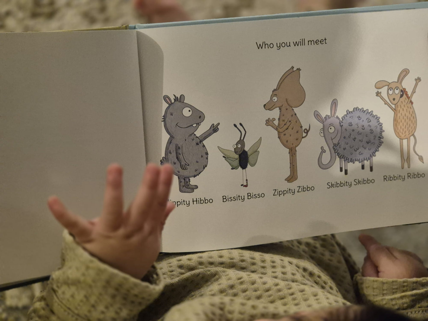 Hippity Happy Hibbo Book