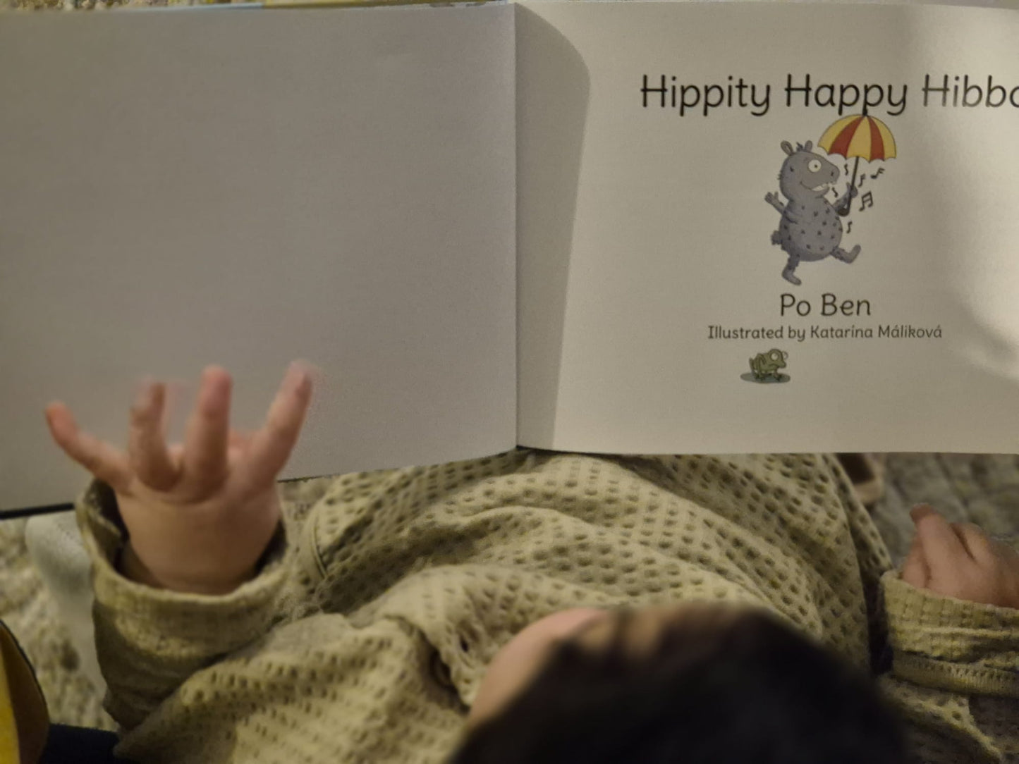 Hippity Happy Hibbo Book
